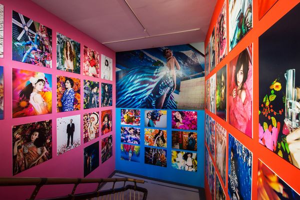 《蜷川实花展》 "漫步花海,情迷蜷川"   上海站